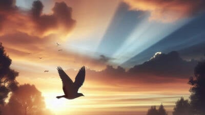 the pursuit of peace soaring through sky clouds sunset fields flight birds dove serene tranquil smooth life